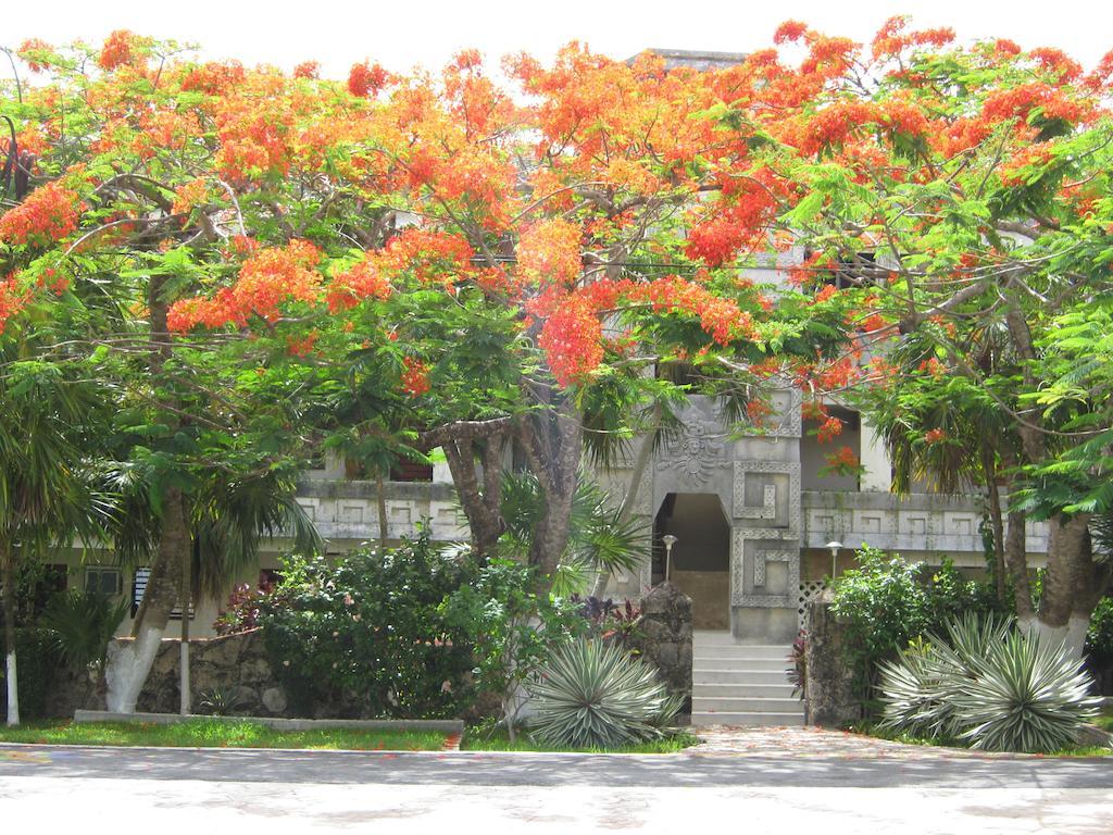 Condumel Cozumel Quarto foto