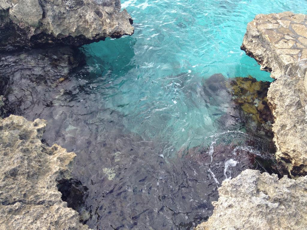 Condumel Cozumel Quarto foto